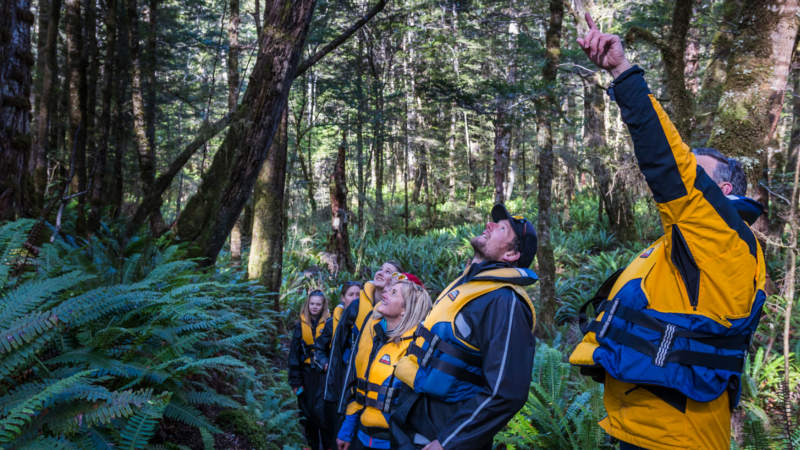 Join Fiordland jet for a dynamic fusion of exhilaration and breathtaking scenic beauty among the Fiordland National Park!
